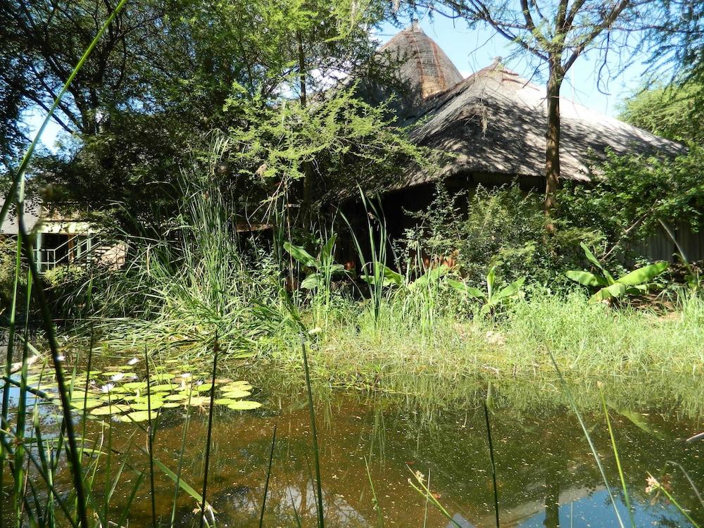 surroundings