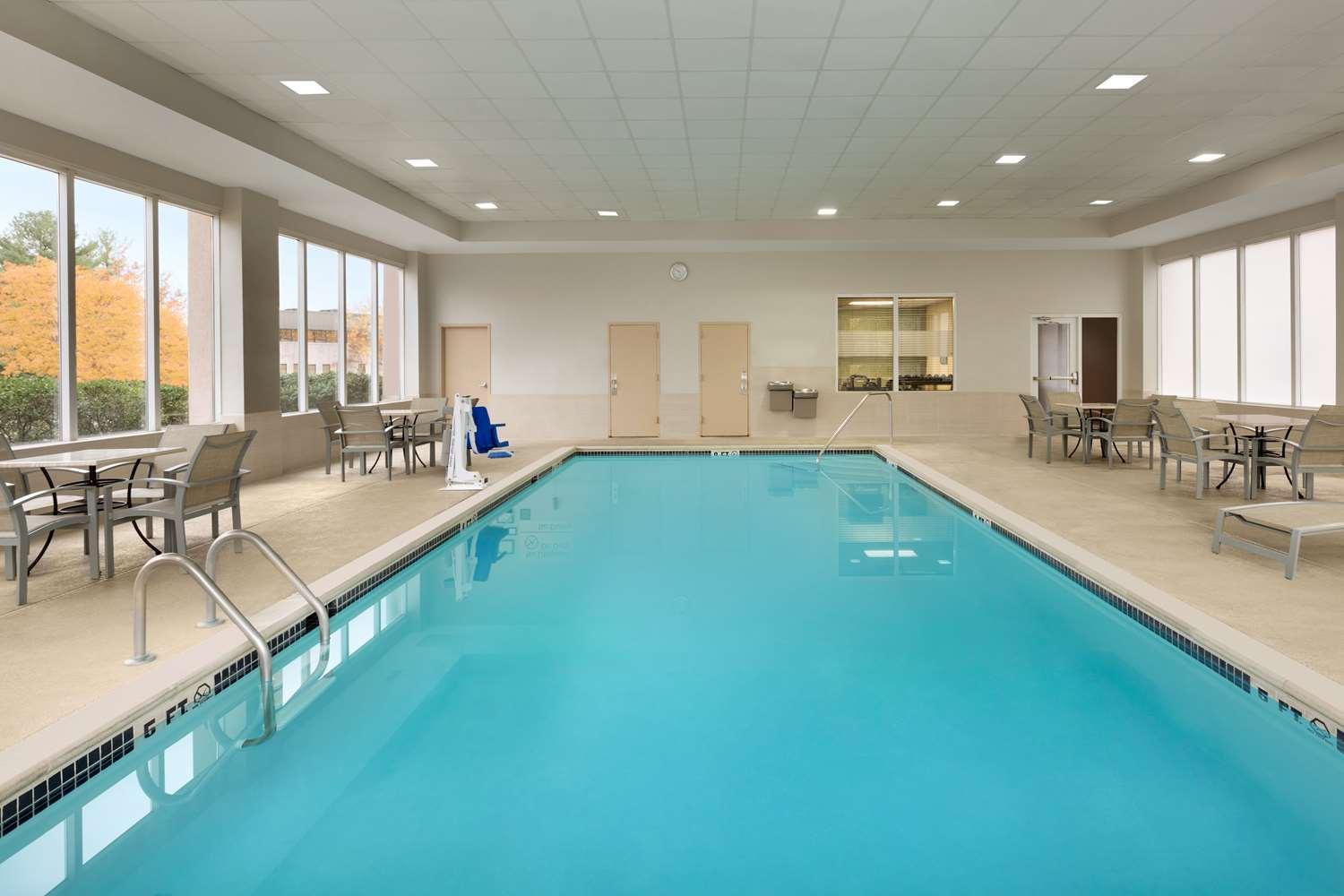 swimming pool spa