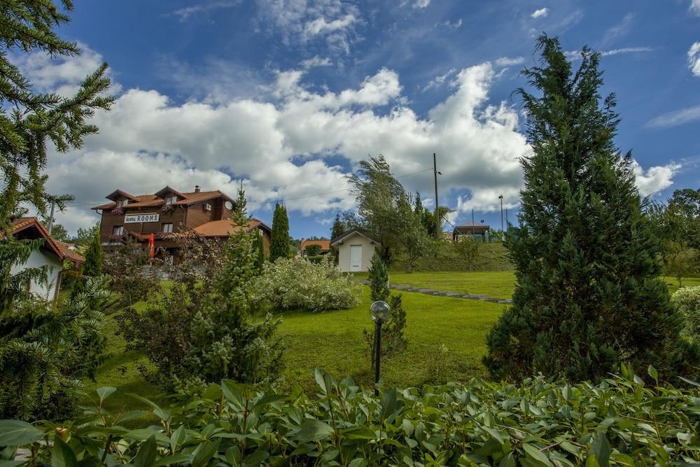 surroundings