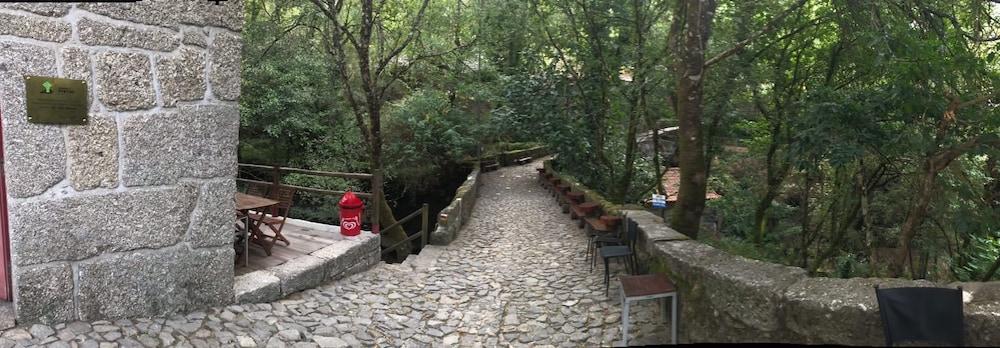 surroundings