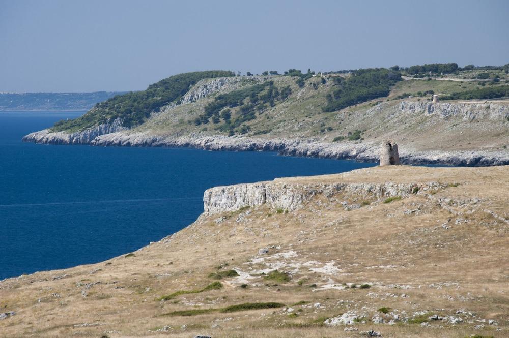 surroundings