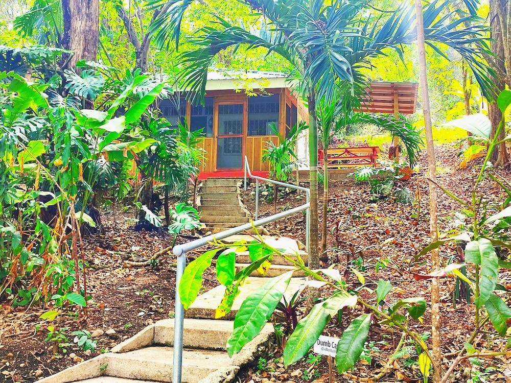 surroundings