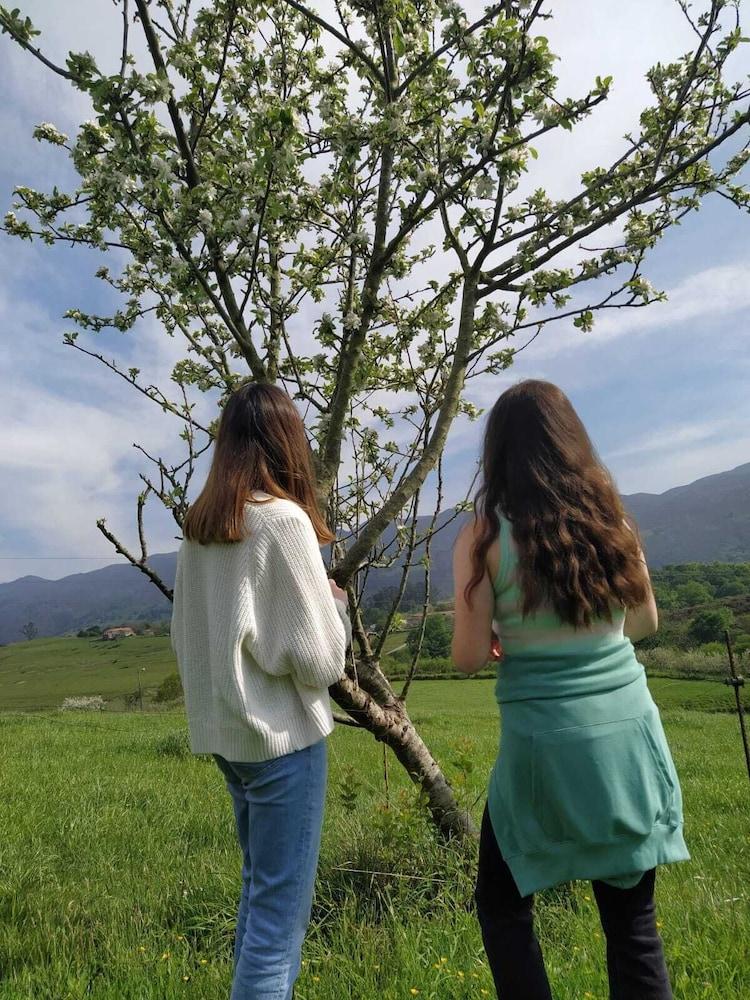 surroundings