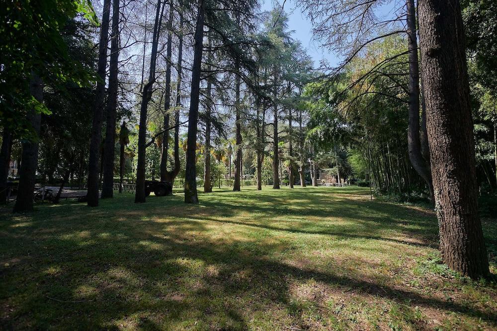 surroundings