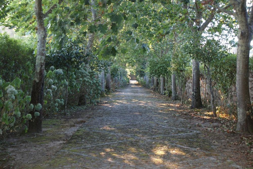 surroundings