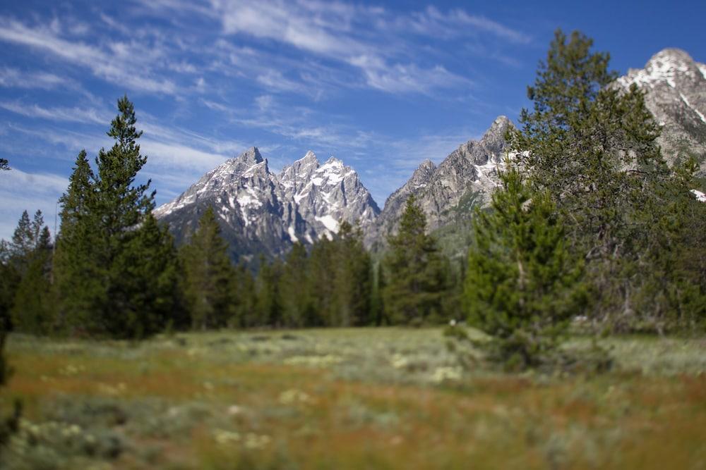 surroundings