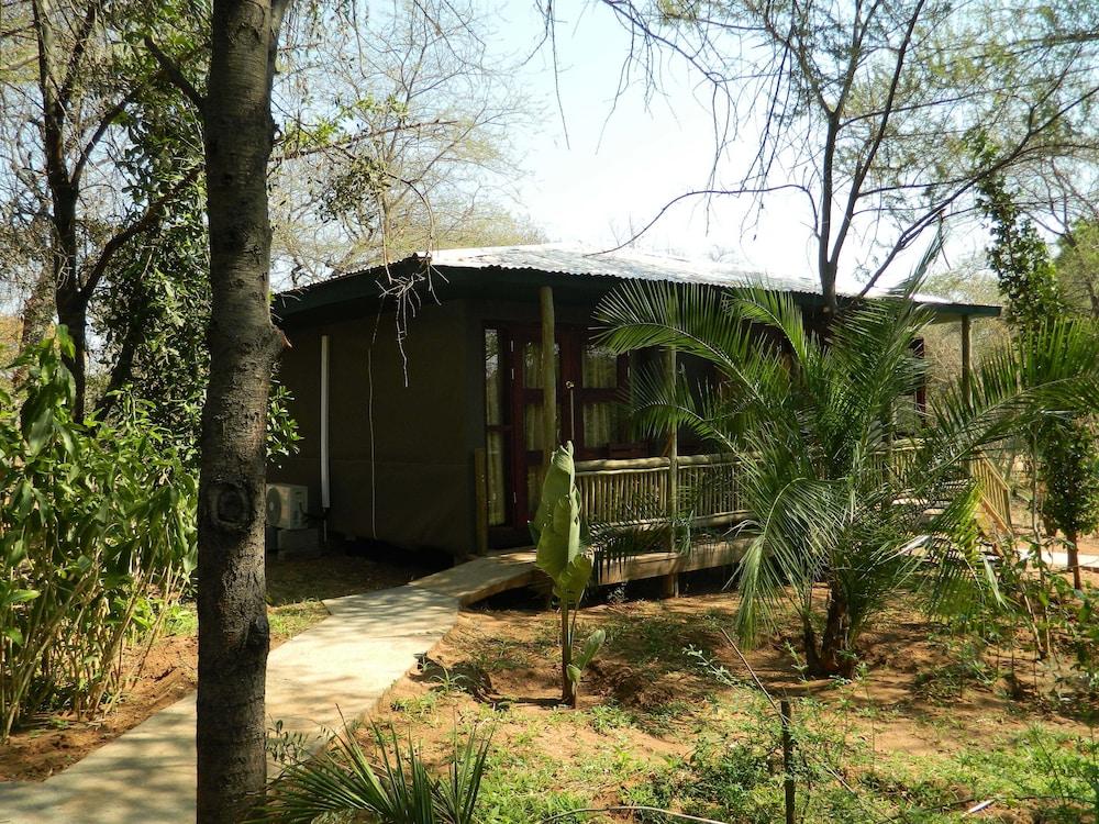 surroundings