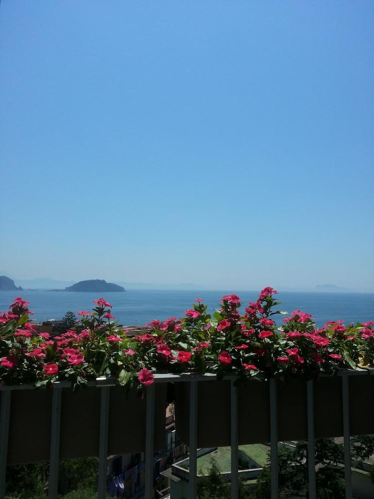 surroundings