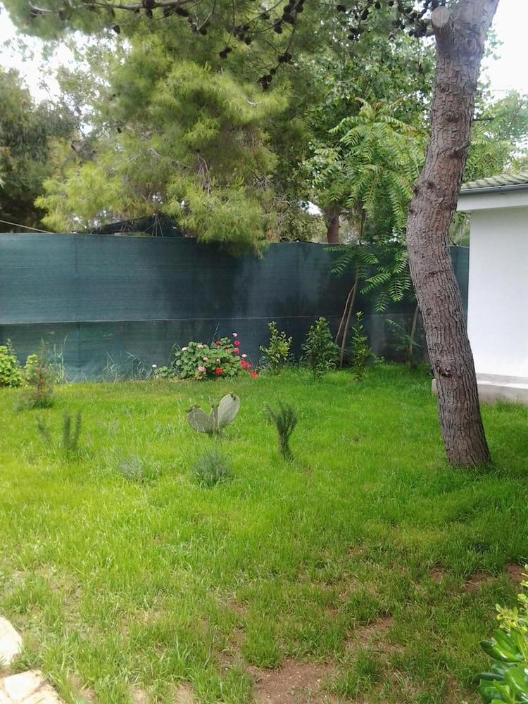surroundings