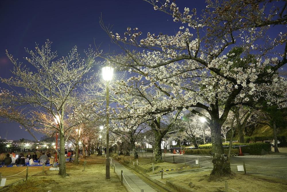 surroundings