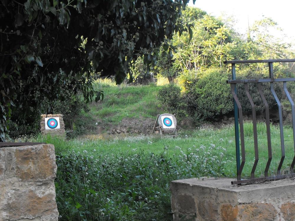 surroundings