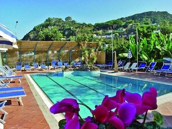 swimming pool spa