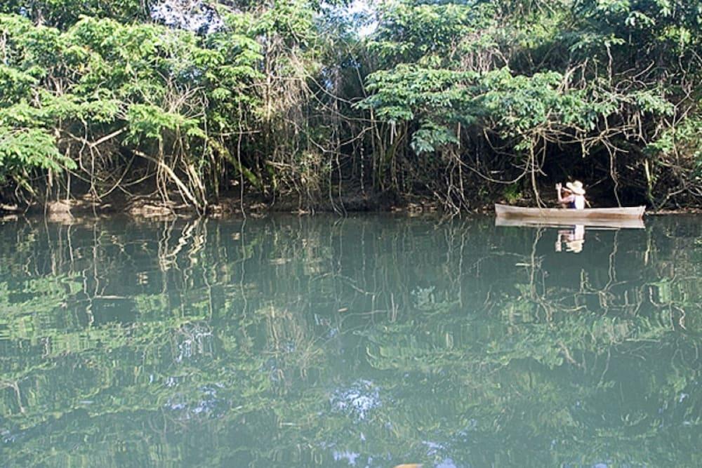 surroundings