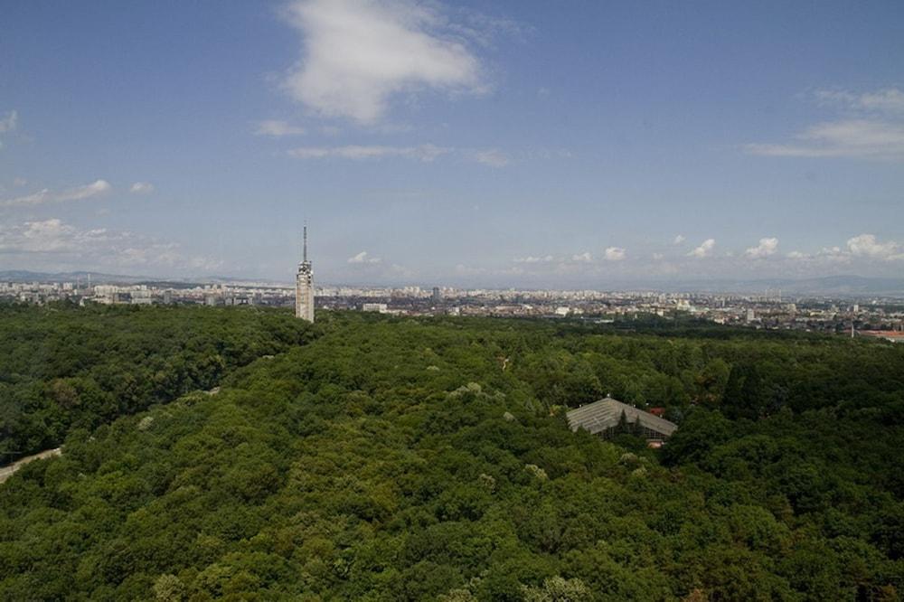 surroundings