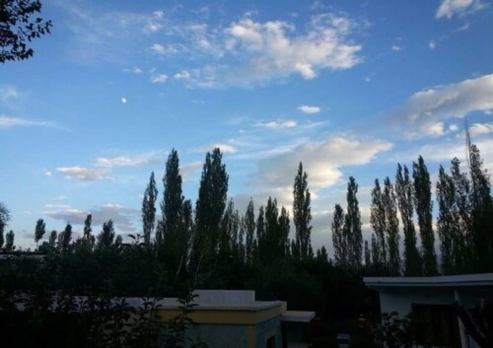 surroundings