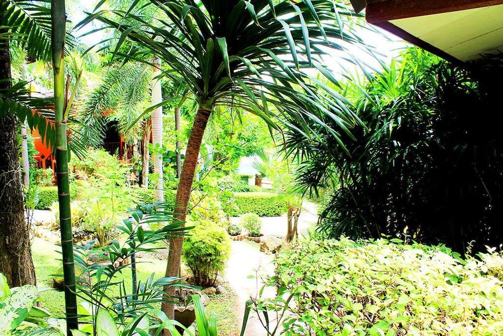 surroundings