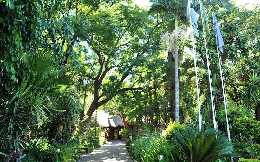 surroundings