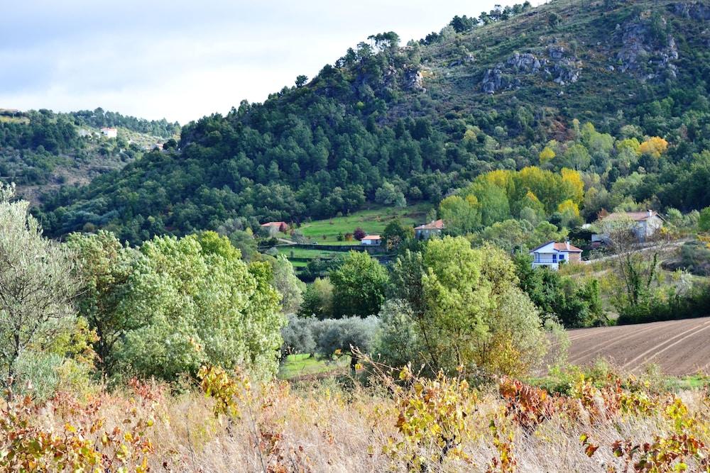 surroundings