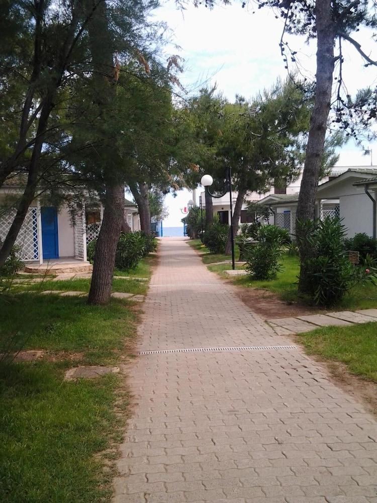 surroundings