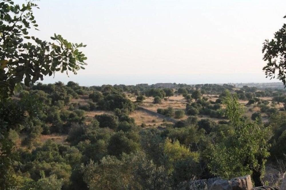 surroundings