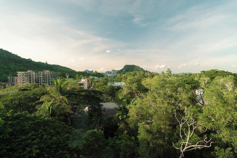 surroundings