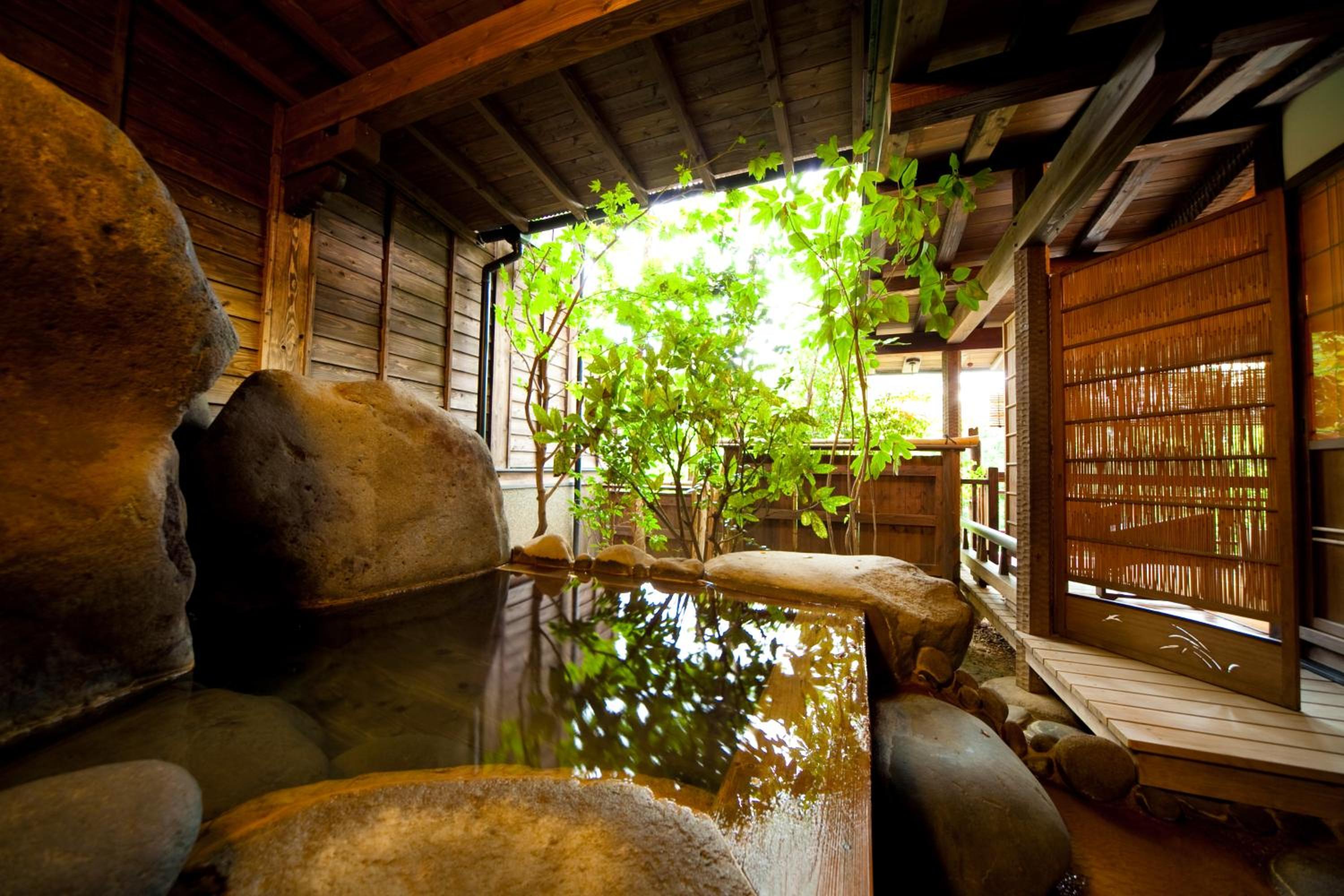 swimming pool spa