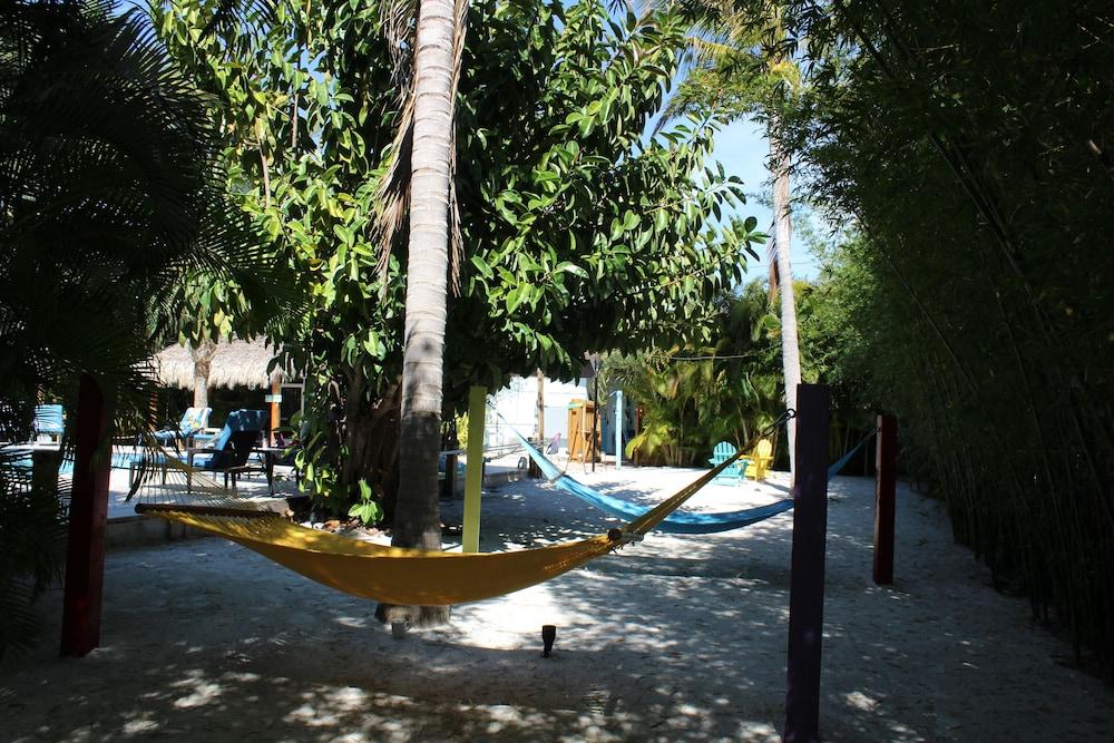 surroundings