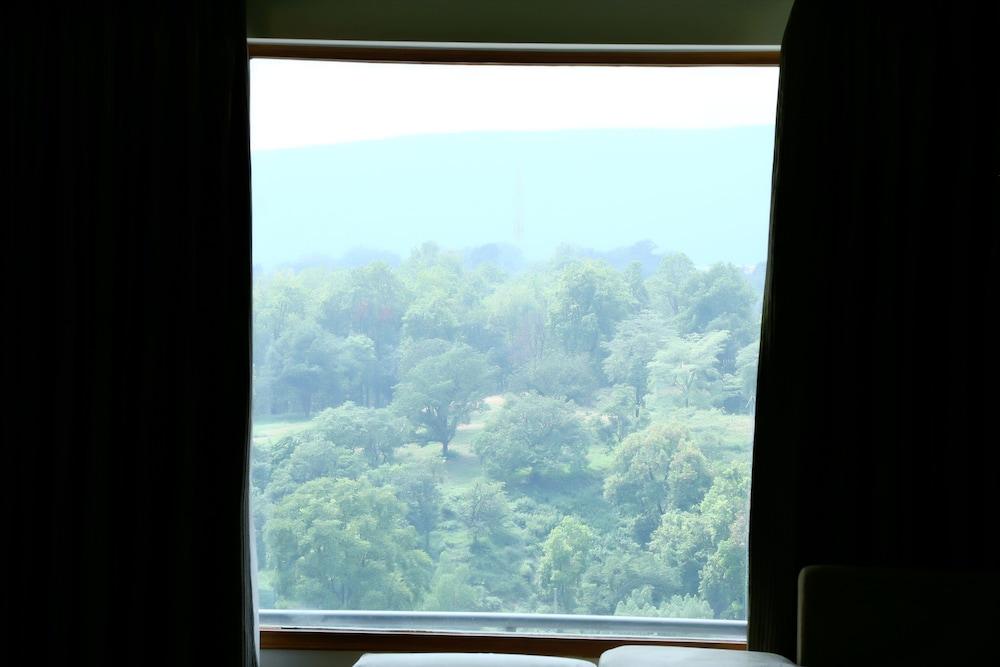 surroundings