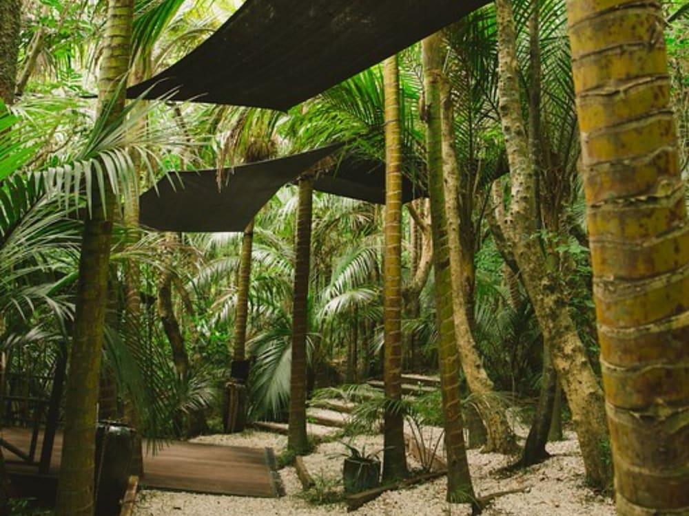 surroundings