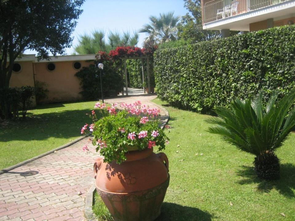 surroundings