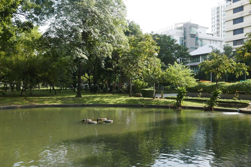 surroundings