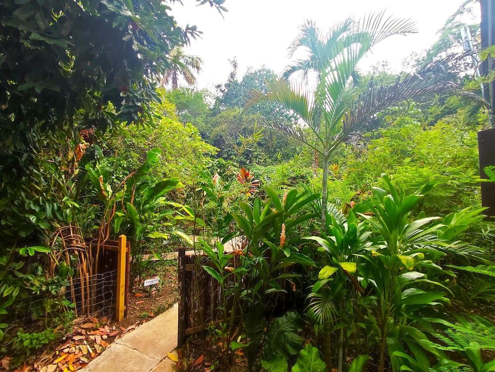 surroundings