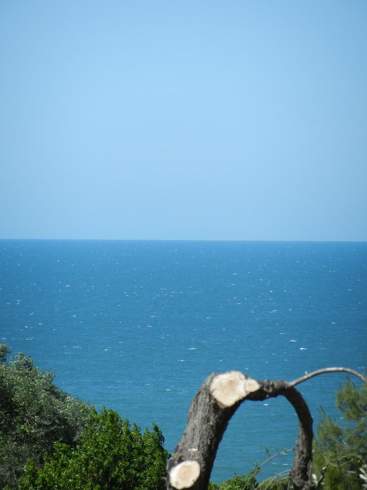 surroundings