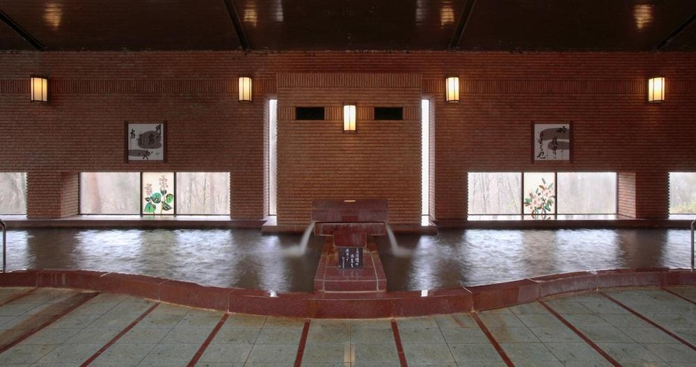 swimming pool spa