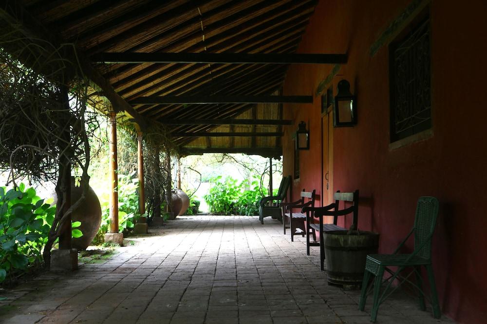 surroundings