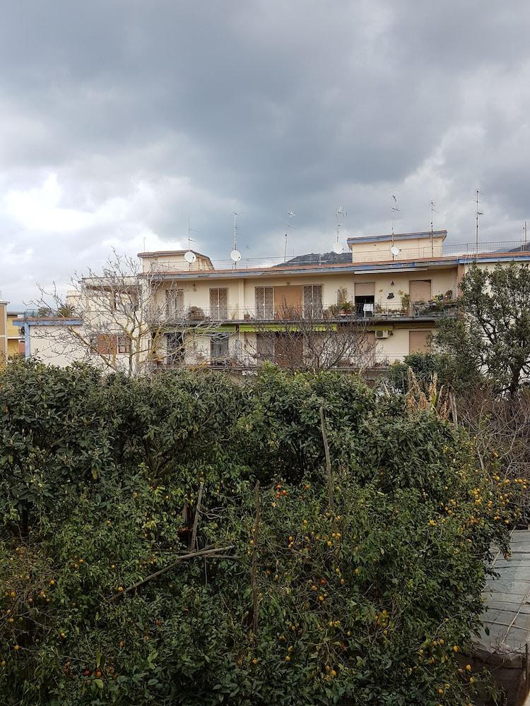 surroundings