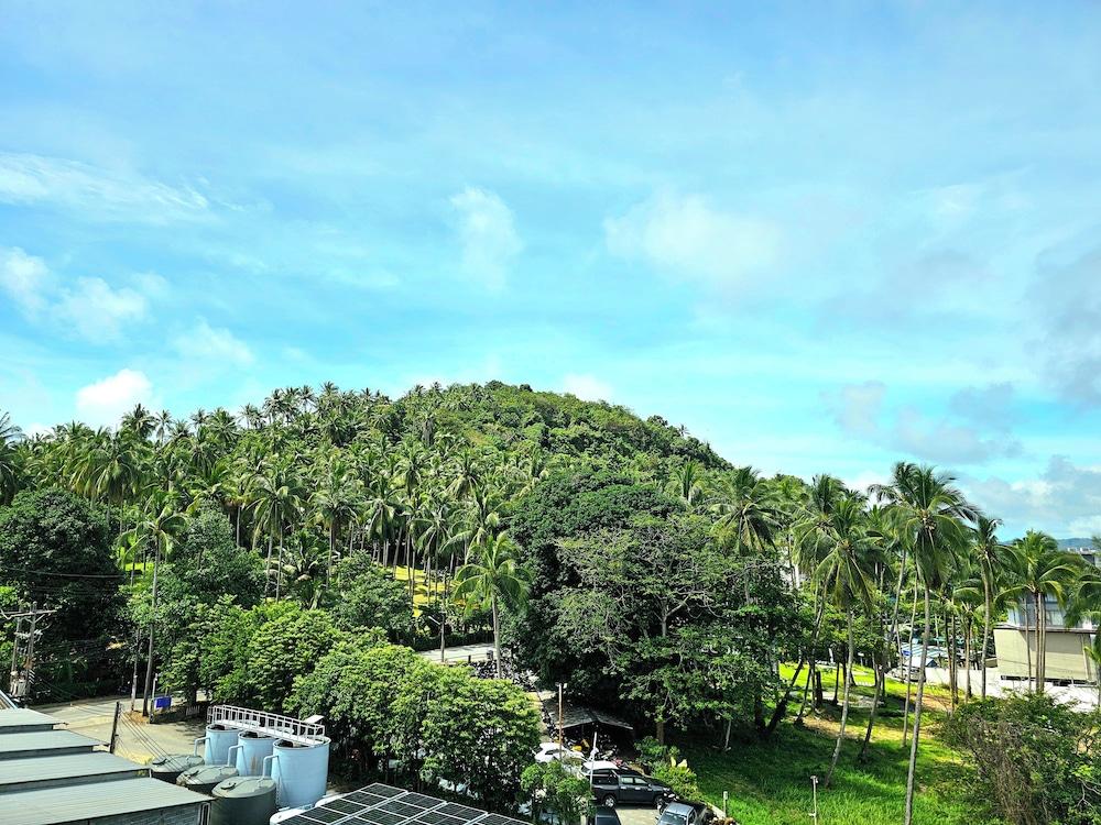surroundings