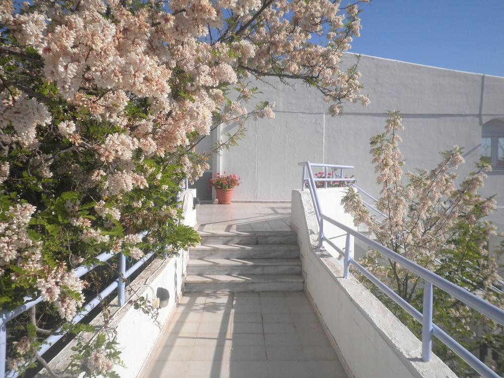 surroundings