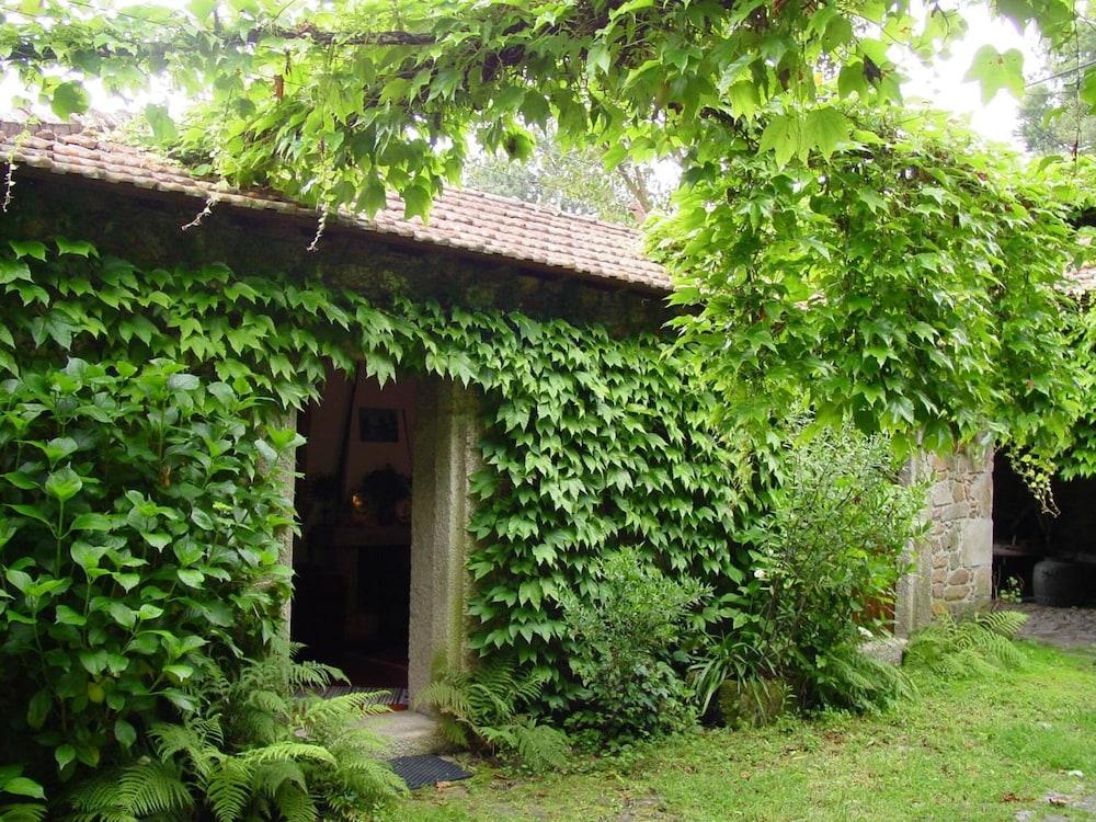 surroundings