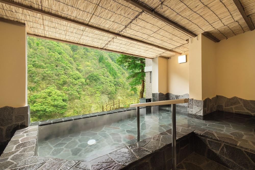 swimming pool spa