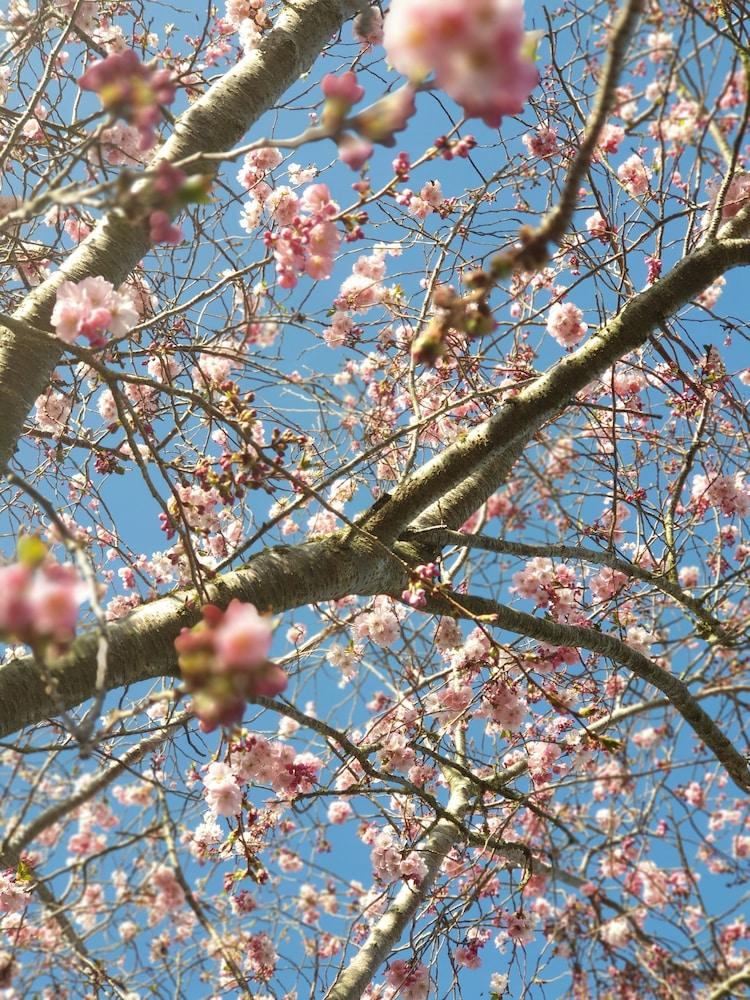 surroundings