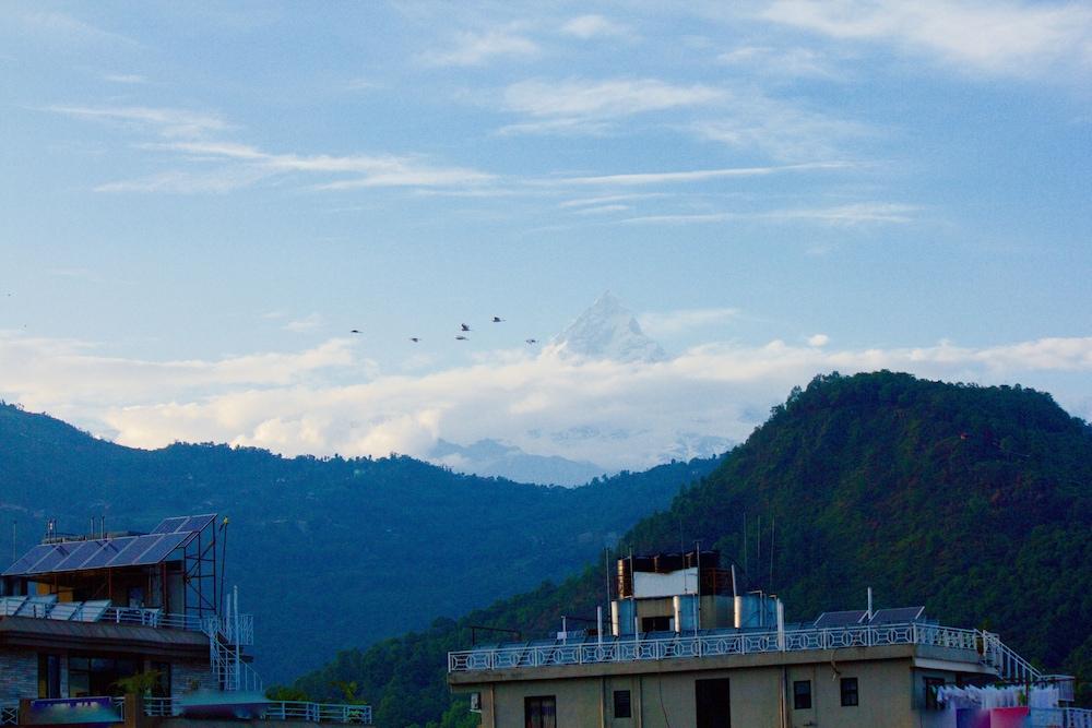 surroundings