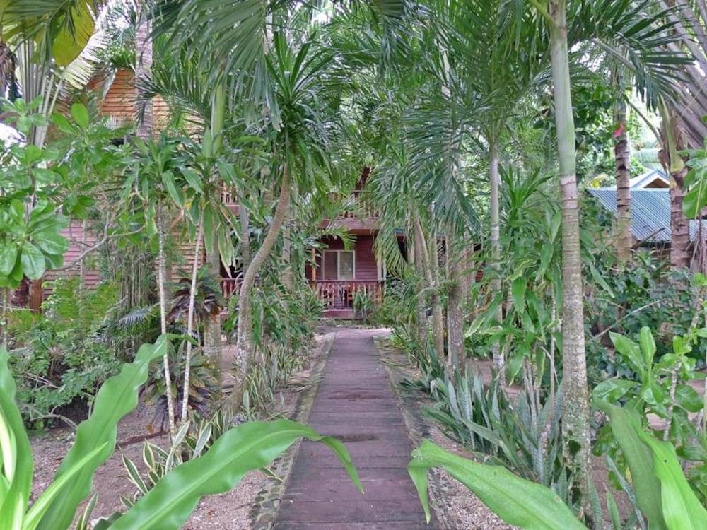 surroundings