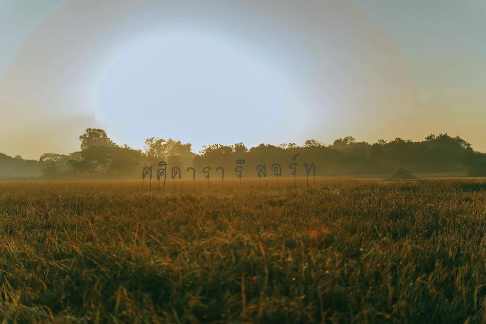 surroundings