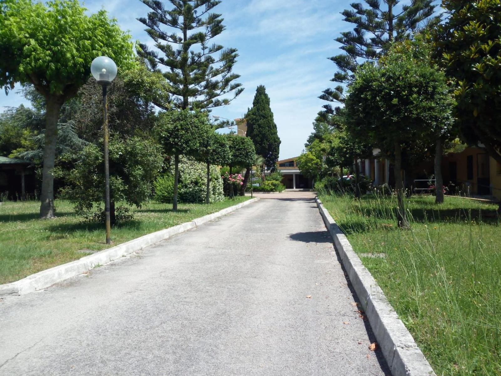 surroundings