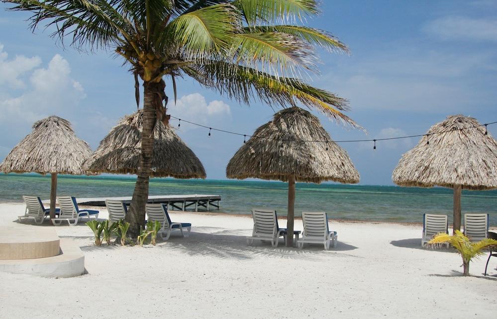 surroundings