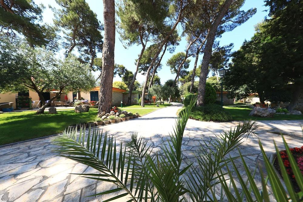 surroundings