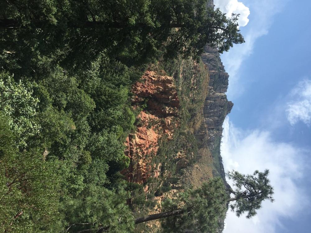 surroundings
