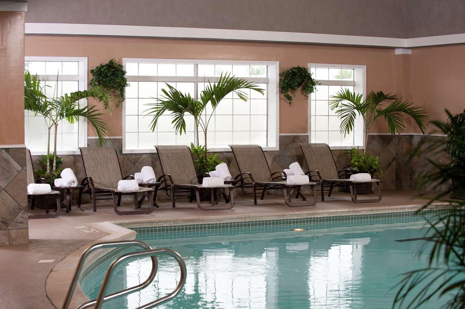 swimming pool spa