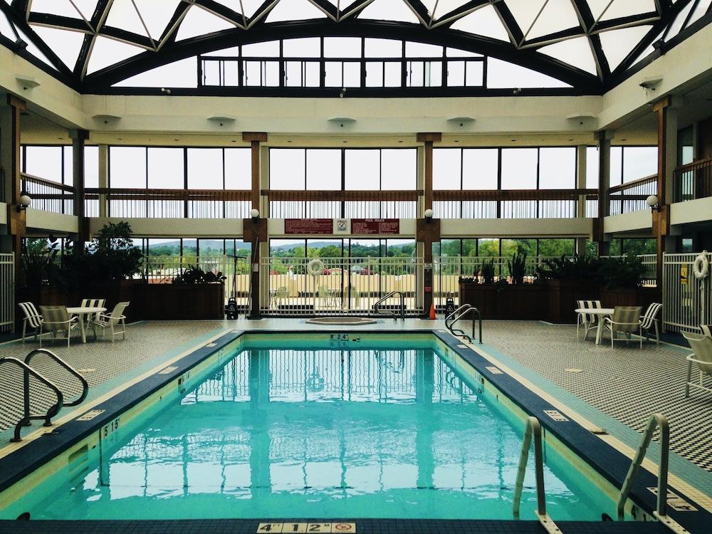 swimming pool spa